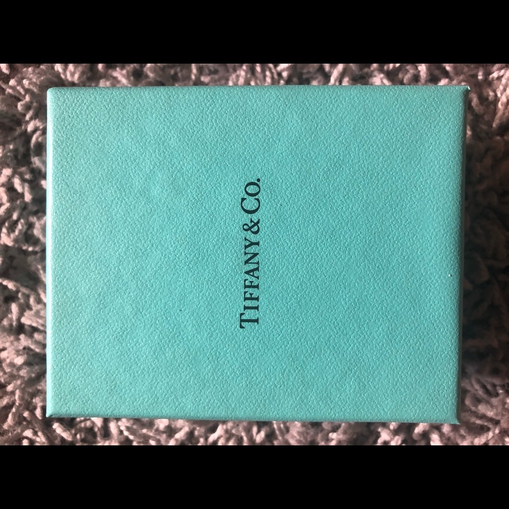 Tiffany “N” Initial Necklace